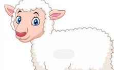 如何应对?纵观命运及婚姻历程,探讨属羊女士在何时遇见婚姻桃花劫,以及如何应对命运的转机