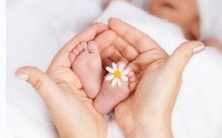 探究壬子日女命的丈夫状况与恋爱观:解析其婚姻关系和爱情信仰