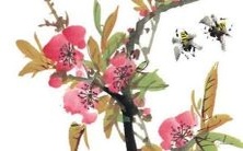 86年属虎女未来的36岁岁月中,是否会遭遇灾难?探究2022年她的命运与前途