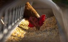 在梦境中看到美丽动人的少女,令人心醉神迷