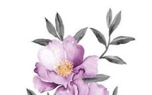 2022年,身居78属马星座的人在事业、爱情、健康方面的运势及运程展望!