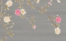 的衣服会给鼠年出生的人带来好运?