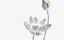 如何选取一个让人赞叹的男性柯基名字?