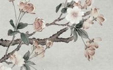 30岁的属猴人在92年出生,将会遭受怎样的劫难?