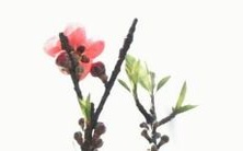 免费提供2022年八字取名服务,为您的宝宝取一个吉祥吉兆的名字!