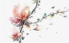 如何预测1968年生肖猴在2022年的运势,并给出成功建议?