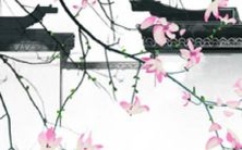 属虎的人起名需要避免哪些忌讳?