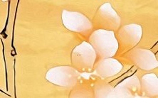 2022年属羊女职业事业发展与运势展望