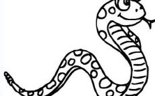 当属牛和属蛇的夫妻相遇:探究属蛇与属牛人在一起的情况和可能面临的结局