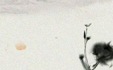 有哪些好听又有意义的名字可供选择呢?