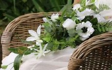 从身世到性格,探究内在世界的独特星座男