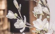 花样搭配!来看看哪些星座组合是最完美的绝配!