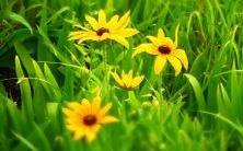 如果我在梦中失去了家里的钥匙,这是否意味着什么?