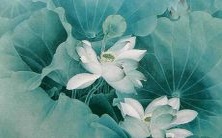 详细解析74年属虎女在2022年的运势走向及趋势预测