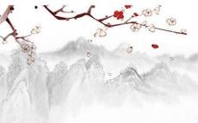 2022年的时候,今年几岁的属虎有多少岁呢?