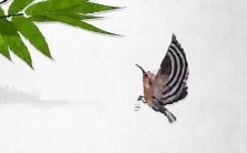 属猴人注意啦!1992年出生的猴宝宝2022年冲太岁运势如何?30岁的属猴群体怎样破解犯太岁的难题?