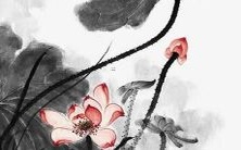 在八个连续舞步中一气呵成的女孩,你知道她的舞蹈名字吗?