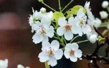 属鼠人在2022年8月婚姻感情领域的走向相对平淡缓慢,稳定性较低