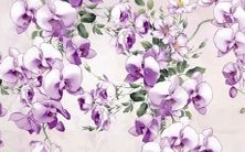 如何给粉丝设置一个好听的名字来获得勋章?