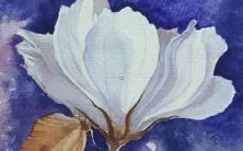 免费提供生辰八字算命和改名字服务