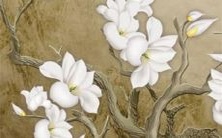 借助星座占星术揭示:为何十二星座内心抗拒和你同乐?