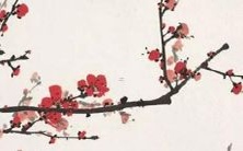 究竟锦越是男孩还是女孩的名字呢?这个问题一直困扰着人们!