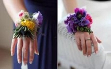 十二星座中谁更容易受到盲目跟风的影响,其程度又有多深?