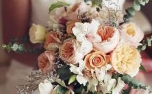 哪些星座的女生拥有丰满迷人的胸部?