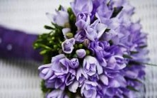 意思?它们如何影响你的人生和个性?我们来看看每个星座的特点,并了解它们与我们的关系