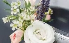 亮相社交媒体,网友热议其太阳星座为何成为热门话题?