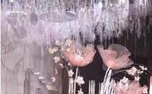 星座中的中央空调:拥有恒温般稳定能量输出的神秘恒星群体