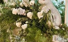 这些星座更倾向于独处沉醉,而非勉强自娱自乐