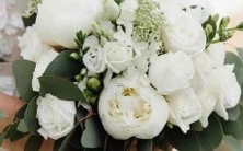 与十二星座的室友共居时,会面临哪些潜在的冲突和矛盾?