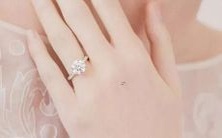 男女皆宜!十二星座都适合种植花卉,让你的家庭与心灵都蓬勃生长!