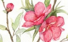 黄姓男孩在2022年属虎的情况下选择取名,探讨如何根据属相来取名的相关信息