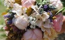 这些星座因为经济问题而离异,资金压力是婚姻破裂的主要因素