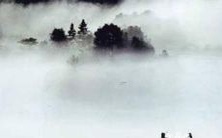 年出生狗子:详尽解析2022年财运、感情、事业、健康、人际关系、家庭生活等方面的运程及建议