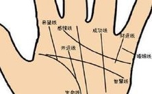 手背上长痣的女孩,身体健康还是容易生病?手背痣的性格代表和命运启示是什么?
