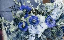 探究十二星座之美:用诗词来描绘星座的神秘与魅力