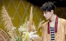 探讨猪和虎的合拍指数:从财运到婚姻,猪和虎的配对如何影响彼此的命运?