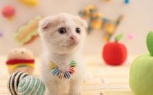 哪种颜色对于76属龙最为吉利?76属龙女一生中可能经历多少次婚姻状况?