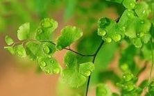 做梦梦见三股叉会带来哪些神秘的预兆?解读三股叉在梦境中的象征意义是什么?