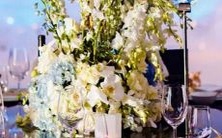 星座卒与星座暖:揭秘星座文化之力,探究天象对人类生活与情感影响的必读指南