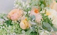 狮子座和哪些星座适合搭配相处?