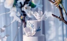 如何查询自己狮子座上升星座,使您更全面地了解自己的天才?