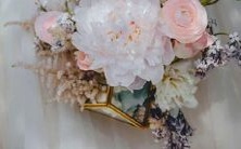 这些星座是肉食动物,排斥蔬菜的示范者