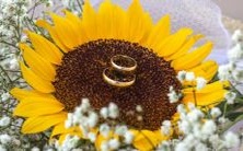 个性特质,你会喜欢哪些?