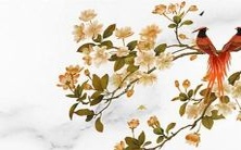 和财运方面,对于在2022年11月出生的鼠年属相者而言,哪些领域表现最为突出?