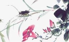 2022年属狗的人的运势预测:从事业到财富、从健康到人际关系,全方位探析!