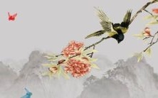 如何应对2022年属蛇刑太岁的挑战?生肖蛇在虎年犯太岁的应对策略与破解方法分享